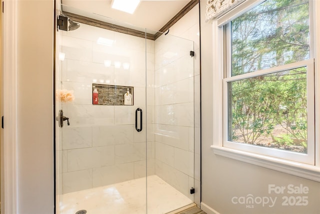 10028 Bora Bora Dr, Tega Cay, SC 29708 - full bathroom featuring plenty of natural light and a stall shower