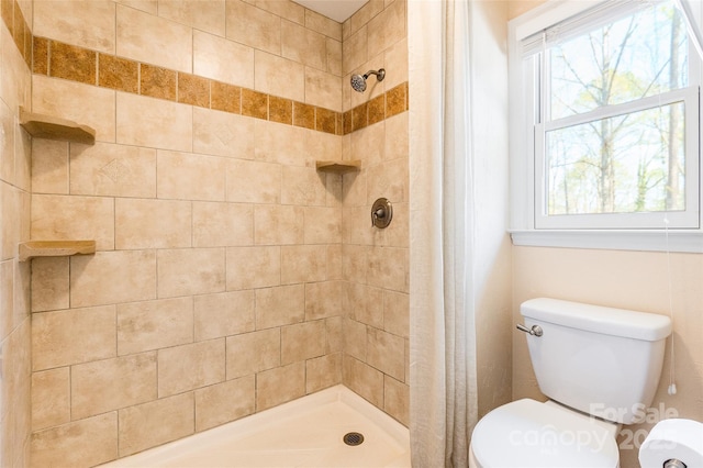 10028 Bora Bora Dr, Tega Cay, SC 29708 - bathroom featuring toilet and a stall shower
