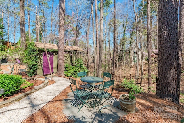 10028 Bora Bora Dr, Tega Cay, SC 29708 - view of patio with an outdoor structure