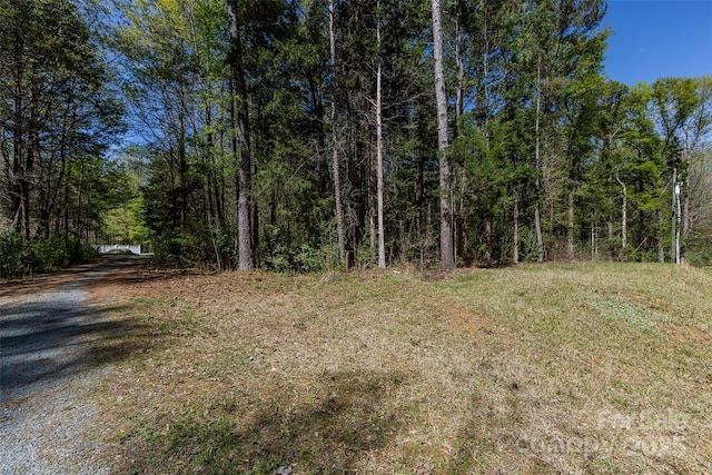 view of yard featuring a wooded view
