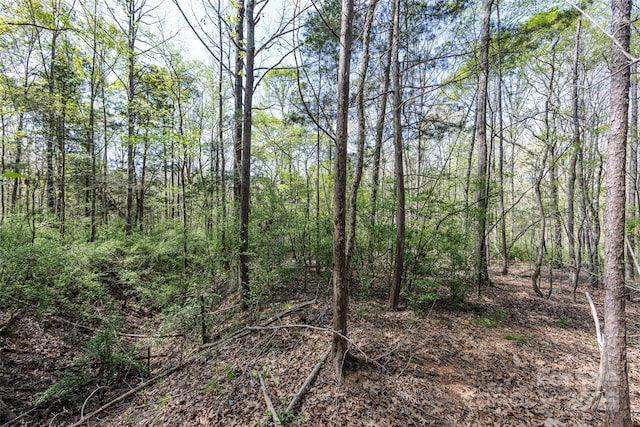 view of nature with a wooded view