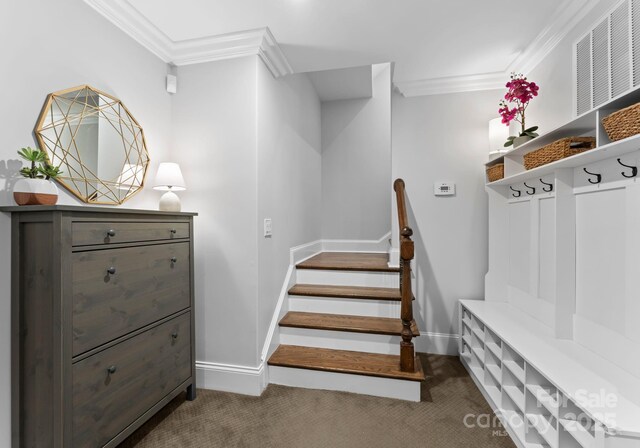 staircase featuring crown molding, carpet flooring, and baseboards