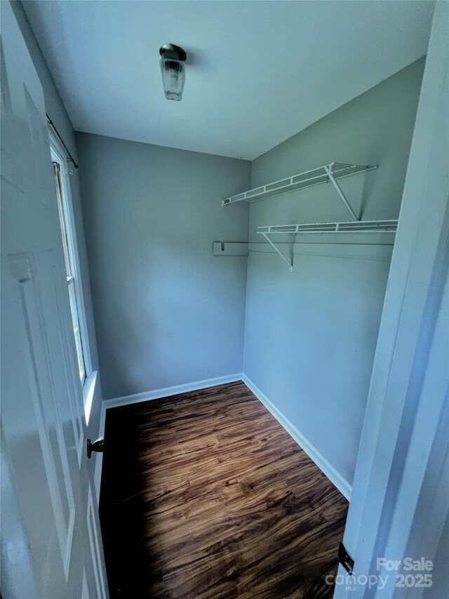 443 Silversmith Ln, Charlotte, NC 28270 - spacious closet with dark wood finished floors