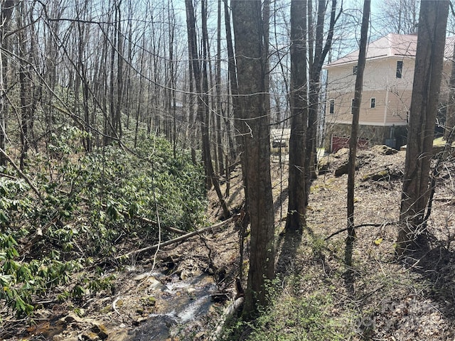 97 Hughes Dr, Maggie Valley, NC 28751 - view of local wilderness