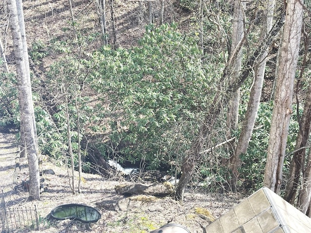 97 Hughes Dr, Maggie Valley, NC 28751 - view of undeveloped land