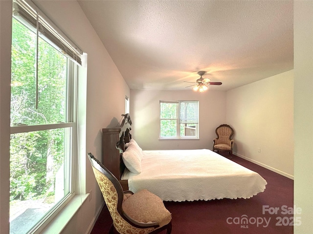 97 Hughes Dr, Maggie Valley, NC 28751 - bedroom featuring multiple windows, a textured ceiling, baseboards, dark colored carpet, and ceiling fan
