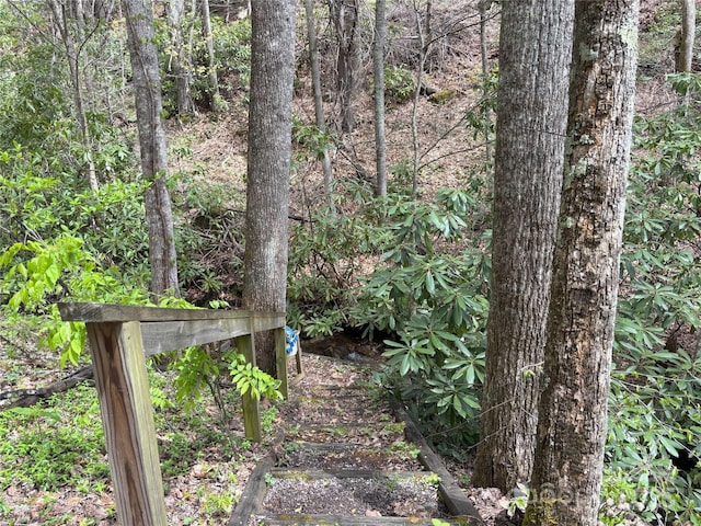 97 Hughes Dr, Maggie Valley, NC 28751 - view of nature