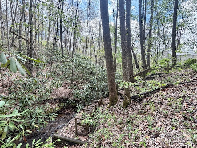 97 Hughes Dr, Maggie Valley, NC 28751 - view of undeveloped land