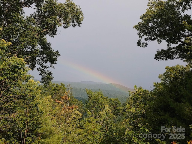 00 Summit Rd, Purlear, NC 28665 - photo 2