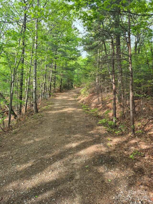 00 Summit Rd, Purlear, NC 28665 - photo 5