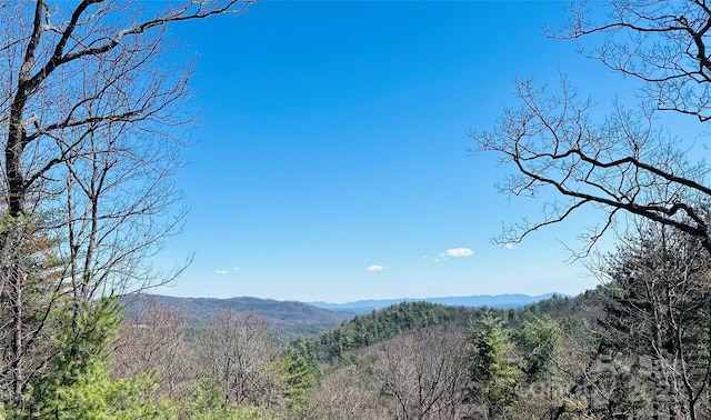 00 Summit Rd, Purlear, NC 28665 - photo 12