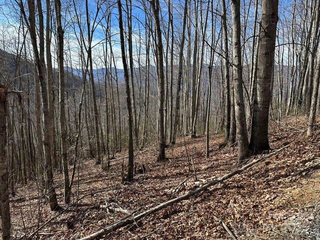 LT262 Tote Rd Unit 262, Sylva, NC 28779