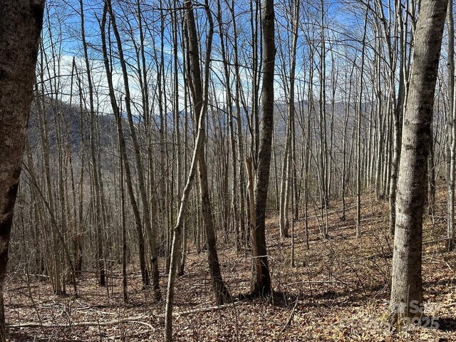 LT262 Tote Rd Unit 262, Sylva, NC 28779