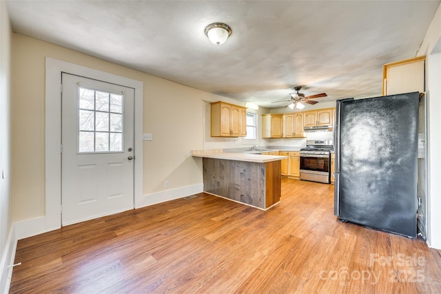113 Hemphill Ave, Chester, SC 29706 - kitchen featuring a peninsula, light wood finished floors, stainless steel appliances, light brown cabinets, and under cabinet range hood