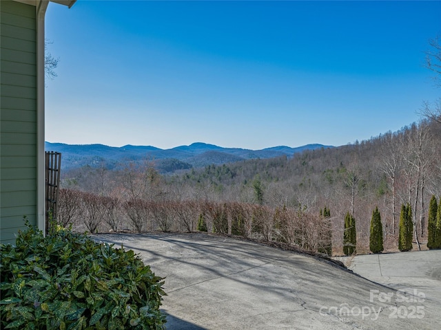 288 Hawks Point Dr, Zirconia, NC 28790 - view of mountain feature with a wooded view