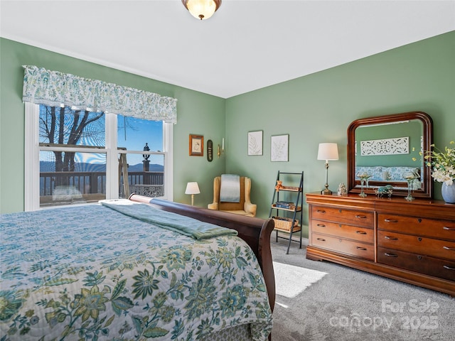 288 Hawks Point Dr, Zirconia, NC 28790 - view of carpeted bedroom