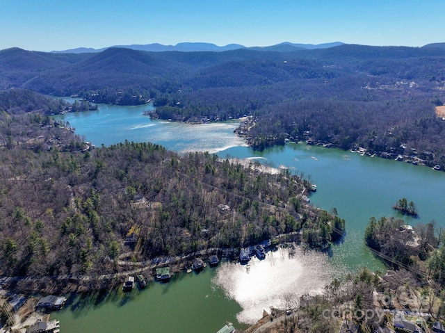 288 Hawks Point Dr, Zirconia, NC 28790 - drone / aerial view featuring a water and mountain view and a view of trees