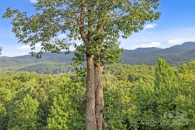 288 Hawks Point Dr, Zirconia, NC 28790 - photo 39