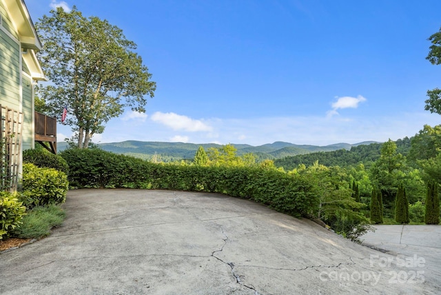 288 Hawks Point Dr, Zirconia, NC 28790 - photo 44