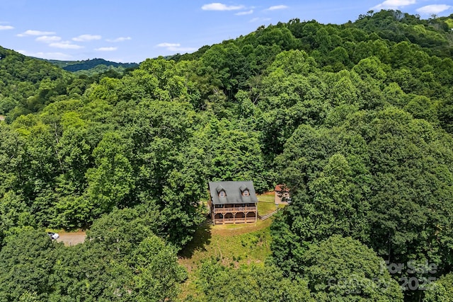 110 Red Wolf Ln, Mars Hill, NC 28754 - photo 8