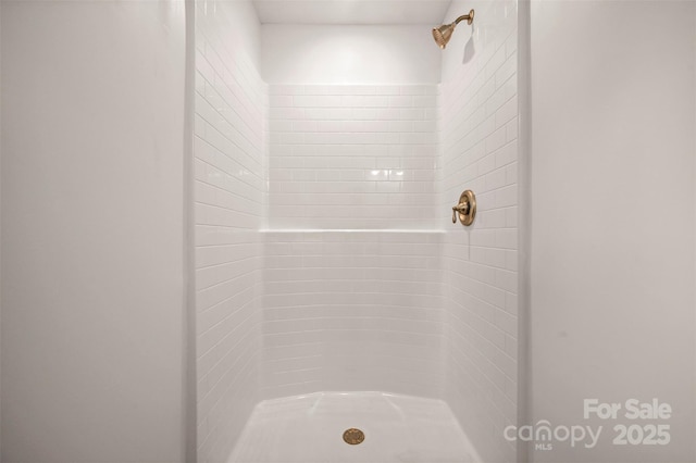 371 Amber Oaks Dr, Rutherfordton, NC 28139 - bathroom with a shower stall