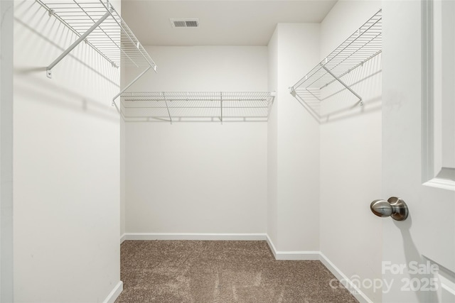 spacious closet featuring carpet and visible vents