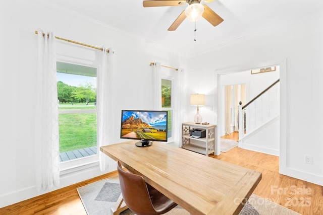 office featuring ceiling fan, plenty of natural light, light wood-style flooring, and ornamental molding
