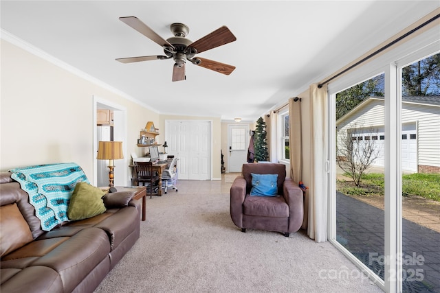 1912 Old W Ln, Gastonia, NC 28052 - living room featuring crown molding, a ceiling fan, carpet flooring, and an office area