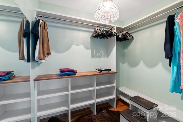 109 Paradise Cir, Clyde, NC 28721 - spacious closet with wood finished floors