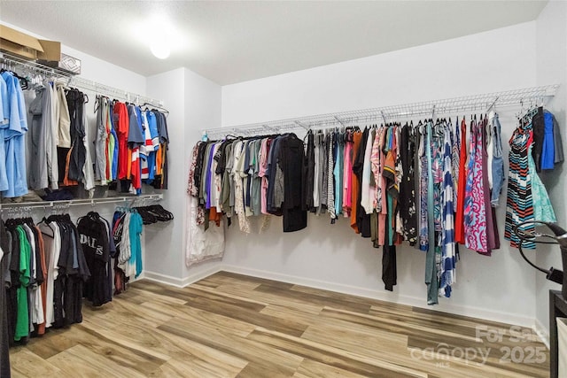 spacious closet with wood finished floors