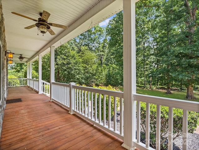 217 Blossom Hill Rd, Lincolnton, NC 28092 - photo 10