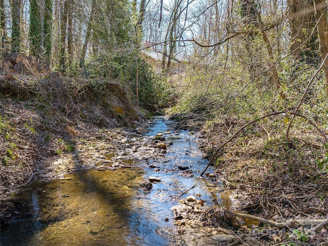 view of water feature with a wooded view