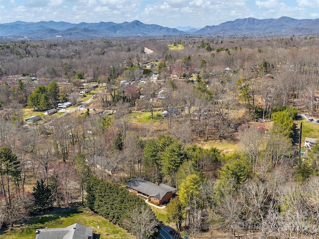 aerial view with a mountain view