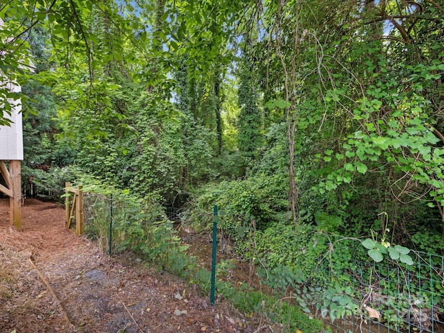 2214 Olde Chantilly Ct, Charlotte, NC 28205 - view of yard with a view of trees