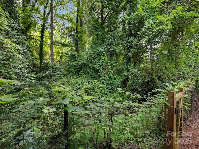 2214 Olde Chantilly Ct, Charlotte, NC 28205 - view of wooded area