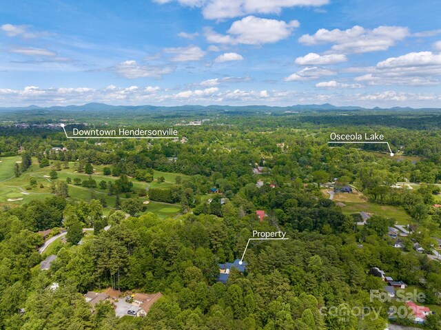 305 Ficker Cir, Hendersonville, NC 28739 - photo 39