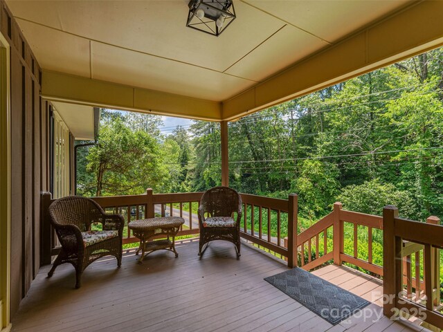570 County Rd, Waynesville, NC 28785 - photo 4