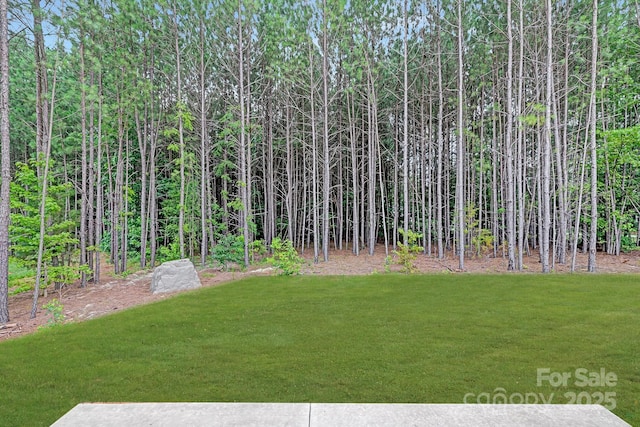 700 Sunset Pointe Dr, Salisbury, NC 28146 - view of green lawn