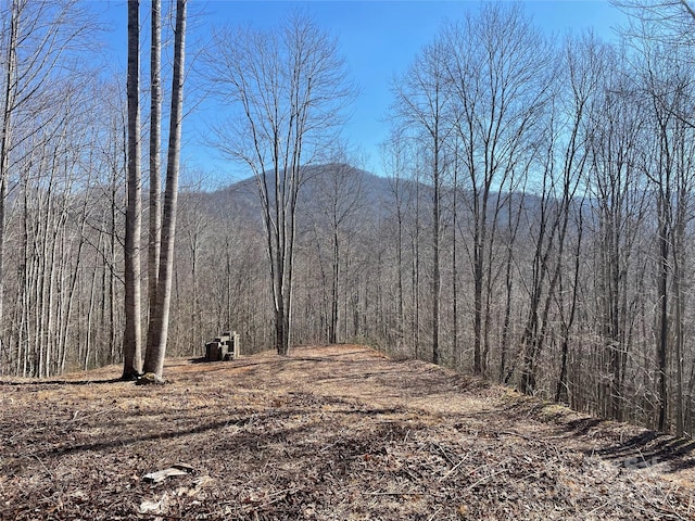 LT264 Cabin Flats Rd Unit 264, Sylva, NC 28779