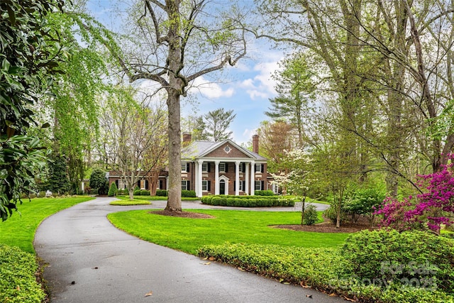 31 Busbee Rd, Asheville, NC 28803 - view of community featuring a yard and curved driveway