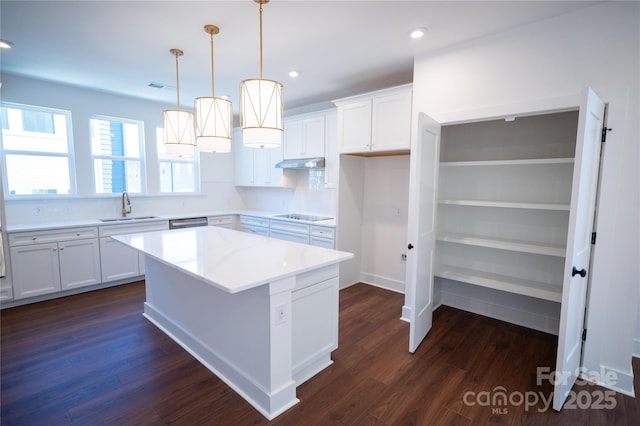 kitchen with dark wood-type flooring, under cabinet range hood, a sink, and a kitchen island