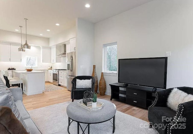 15 Macallan Ln Unit 21, Asheville, NC 28805 - living room with light wood-type flooring and recessed lighting