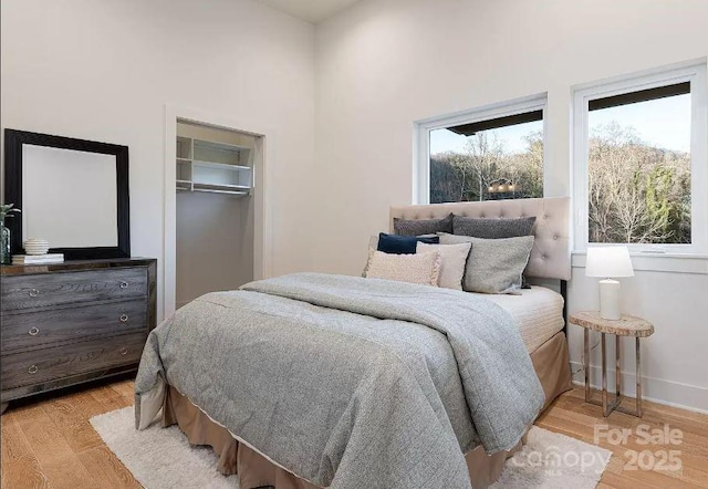 15 Macallan Ln Unit 21, Asheville, NC 28805 - bedroom with light wood finished floors, baseboards, and a closet