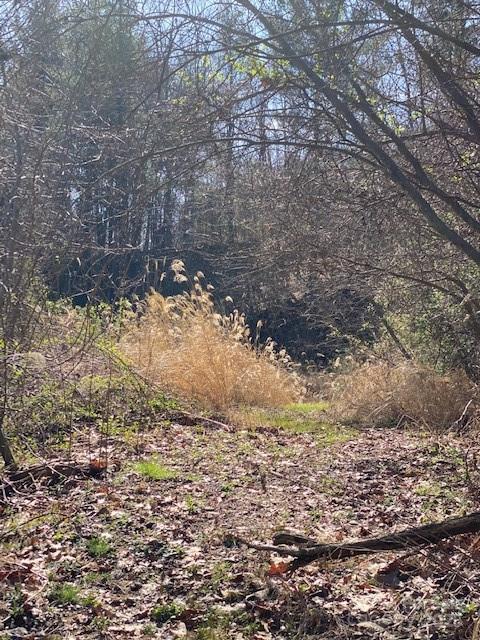 105 Mills Gap Rd, Asheville, NC 28803 - photo 6