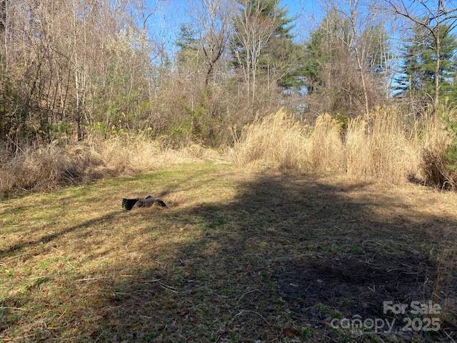 105 Mills Gap Rd, Asheville, NC 28803 - photo 7
