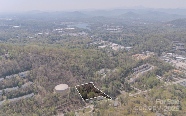 105 Mills Gap Rd, Asheville, NC 28803 - photo 4