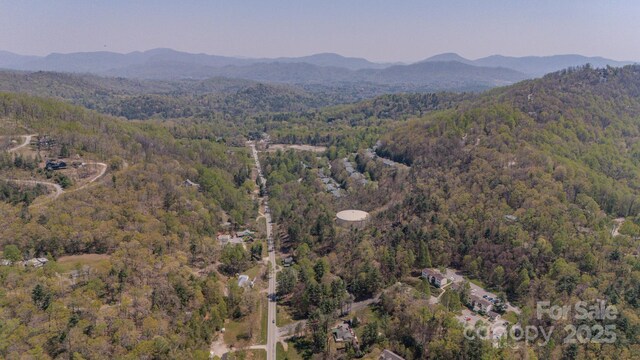 105 Mills Gap Rd, Asheville, NC 28803 - photo 8