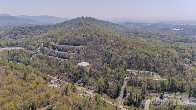 105 Mills Gap Rd, Asheville, NC 28803 - photo 9