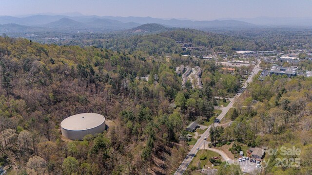 105 Mills Gap Rd, Asheville, NC 28803 - photo 10