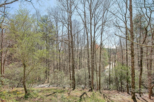 view of nature with a view of trees